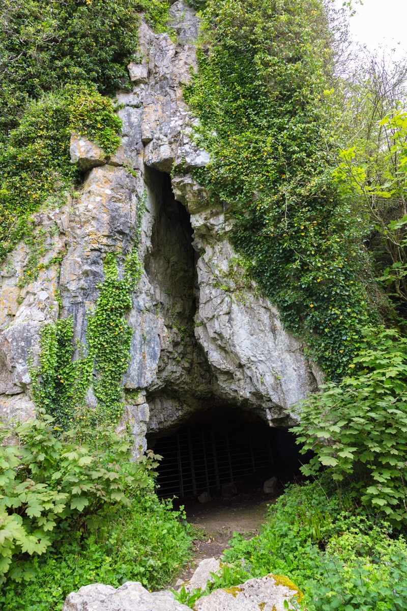 Cathole Cave