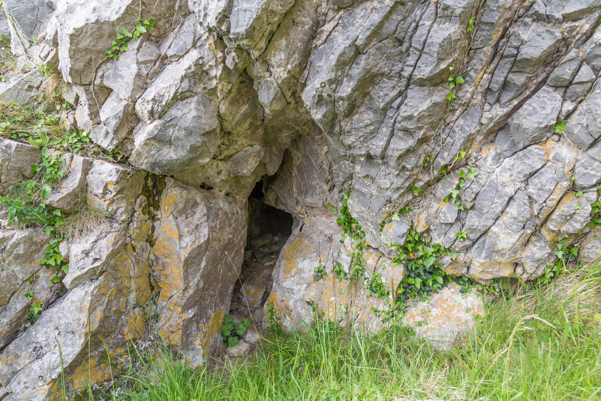 Zoom in _K6A0973 GCCS 93_w.jpg