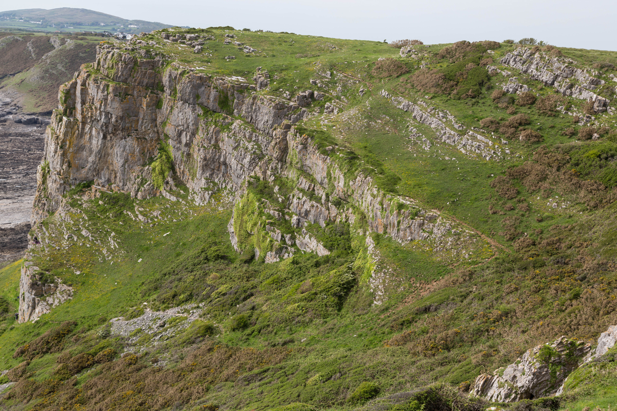 Zoom in _K6A0967 Pennard Butress_w.jpg