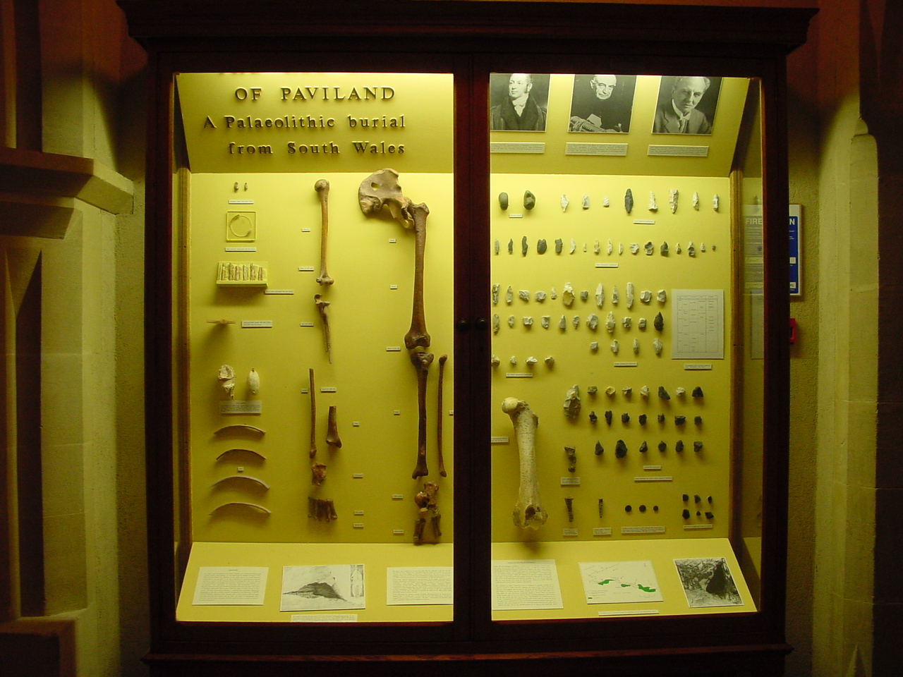 Zoom in DSC00007_ww.JPG