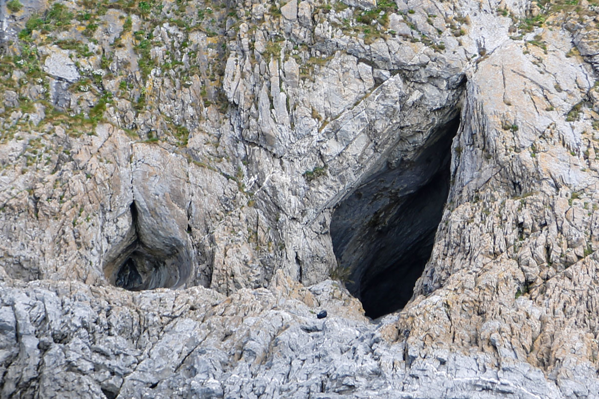 Zoom in _K6A0348_crop25.jpg