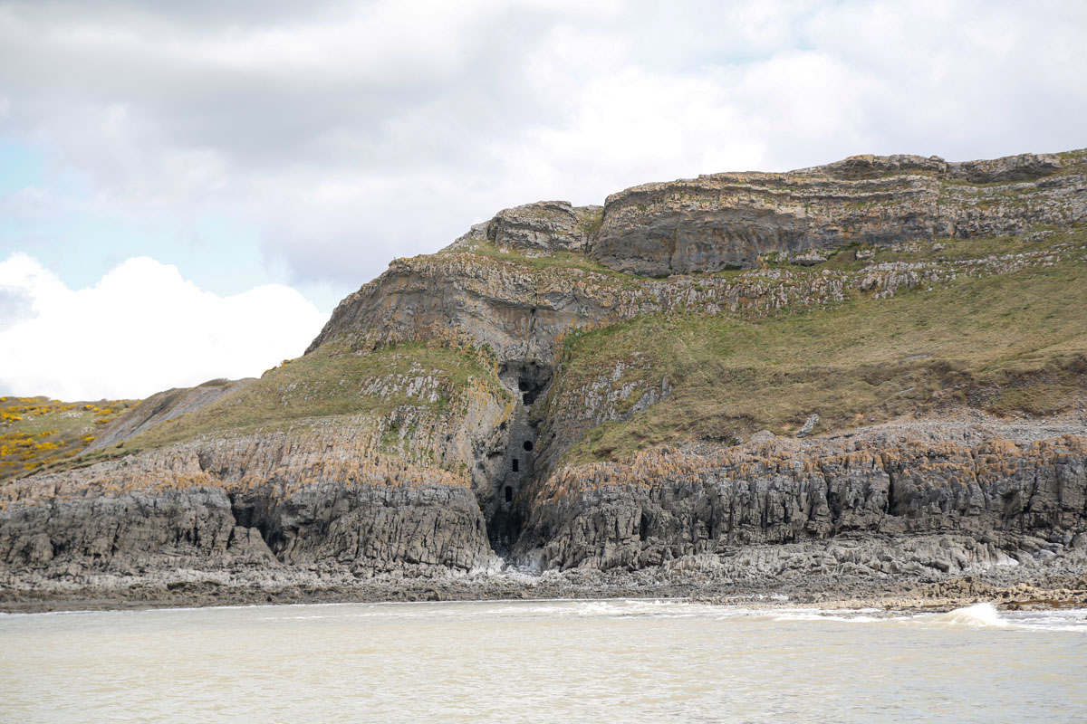 Zoom in _K6A03391.jpg