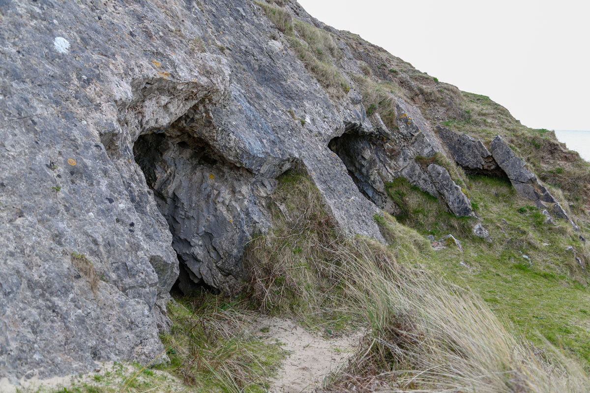 Zoom in _K6A0323.jpg