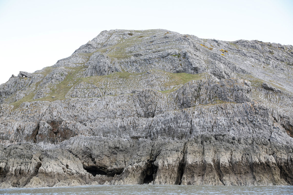 Zoom in _K6A035812.jpg