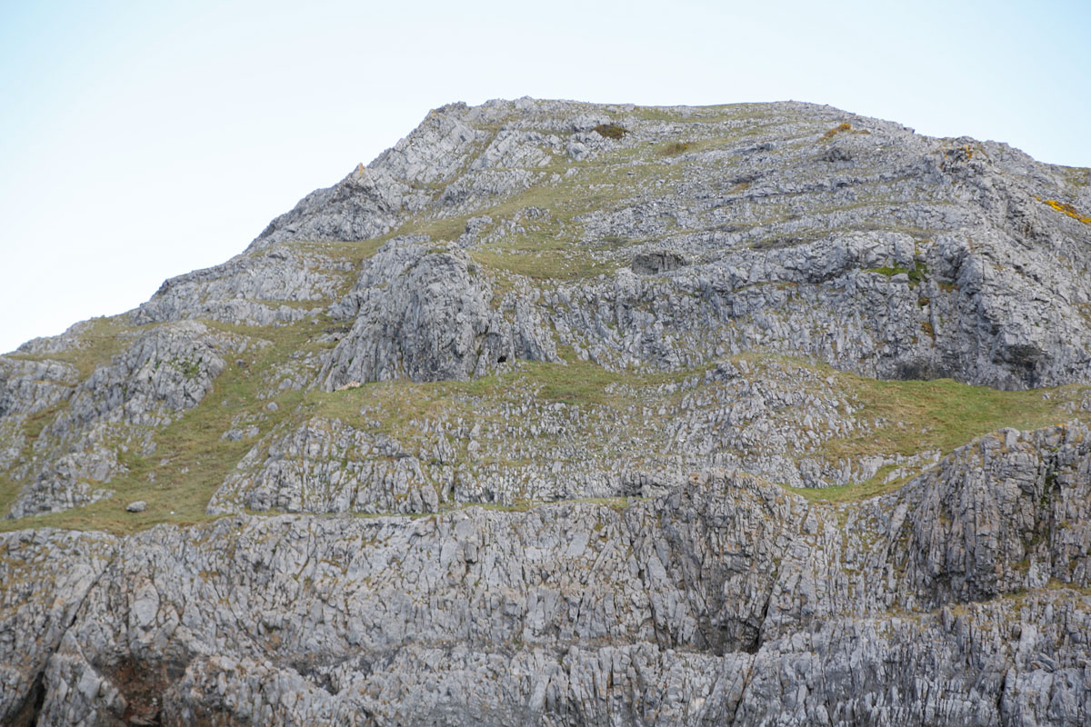 Zoom in _K6A035913.jpg