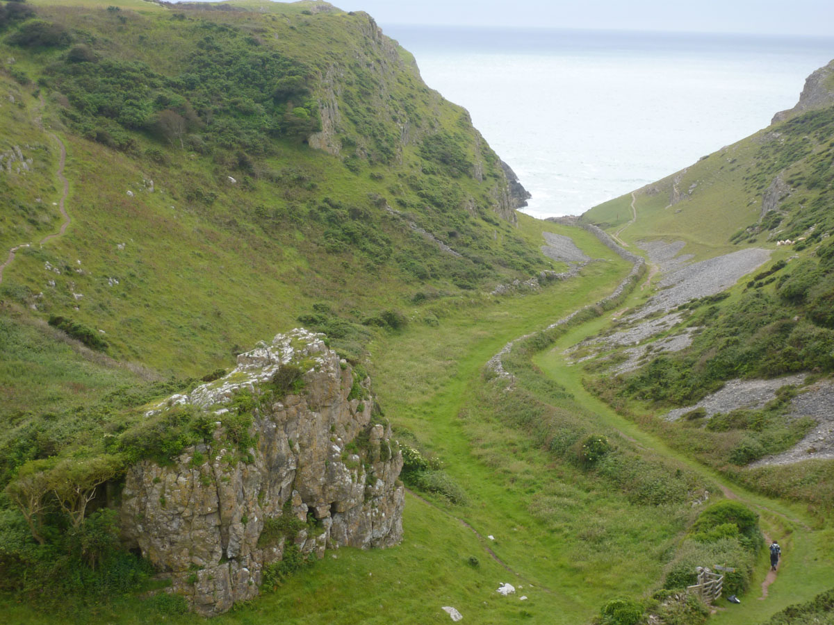 Zoom in P1010329_w.jpg