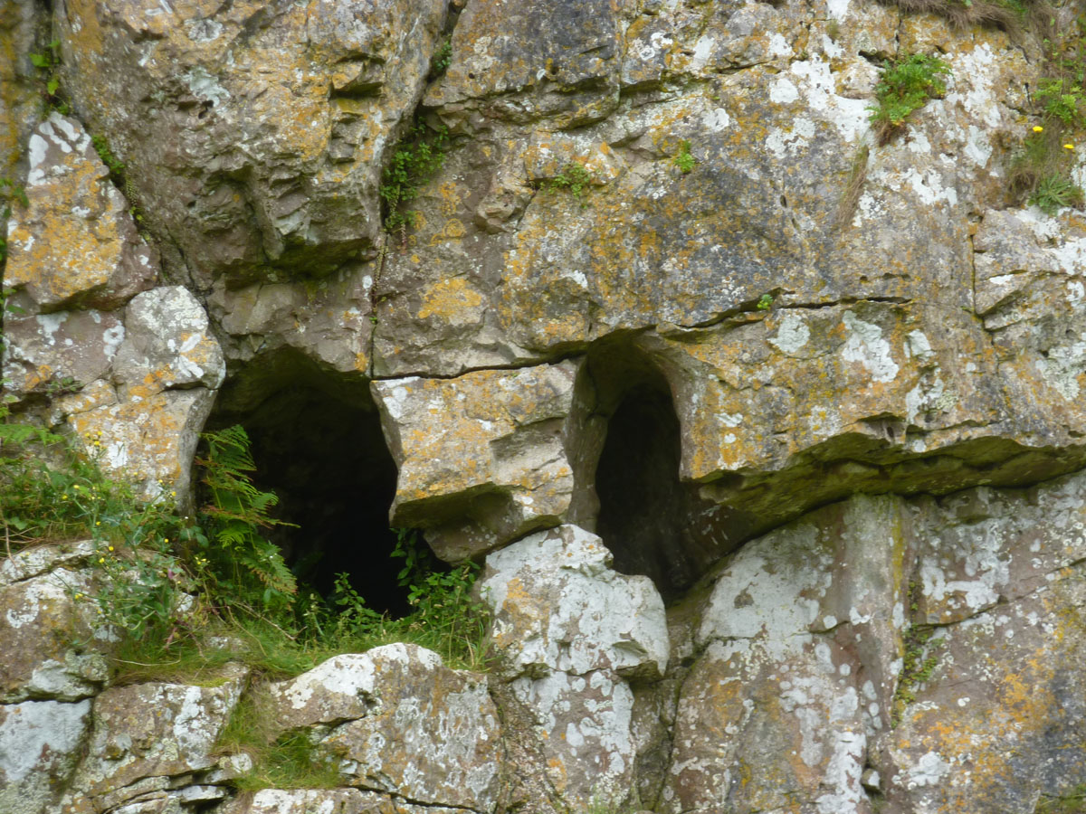 Zoom in P1010365_w.jpg