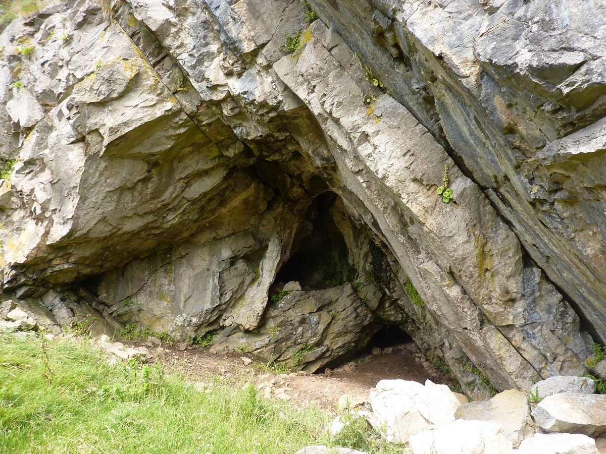 Zoom in P1010413_w.jpg