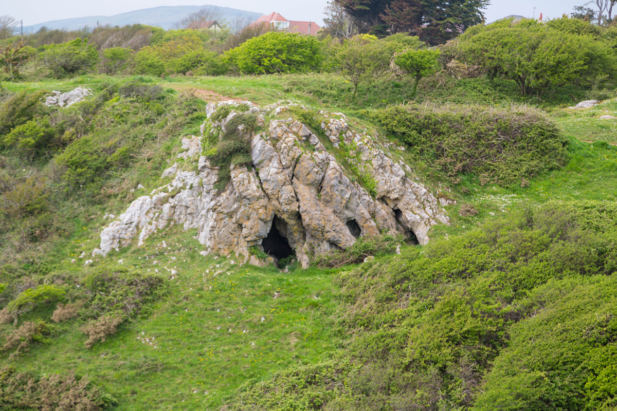 Zoom in 8K6A0866 Foxhole Cave (Pennard)_w.jpg